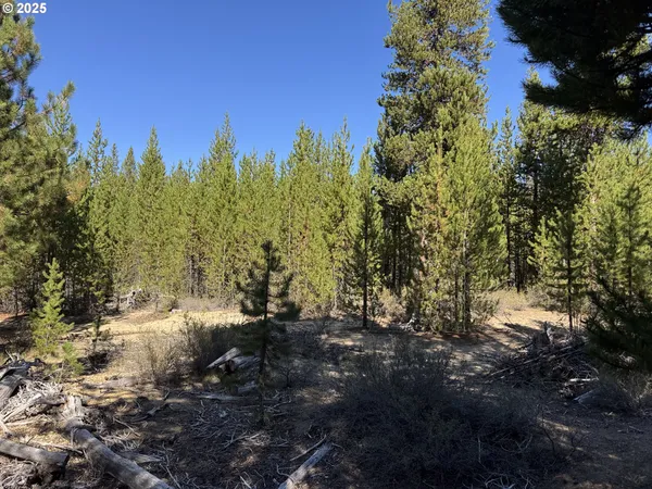 $115,000 | Crescent Moon Drive, Unit 30, Crescent Lake, OR 97733