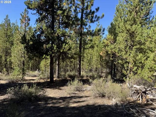 a view of a backyard of the house
