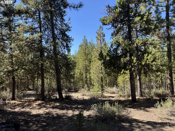 $115,000 | Crescent Moon Drive, Unit 30, Crescent Lake, OR 97733