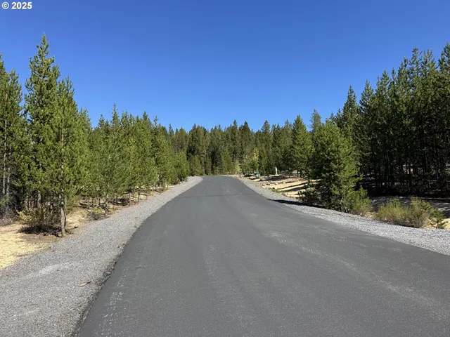 a view of a road with a garden