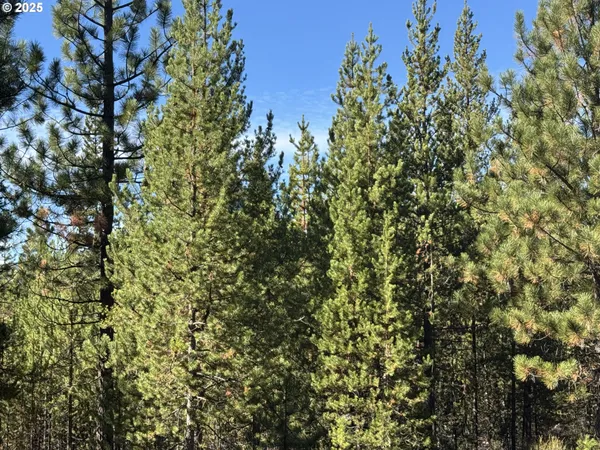 $115,000 | Crescent Moon Drive, Unit 30, Crescent Lake, OR 97733