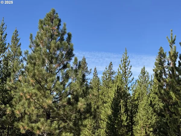 $115,000 | Crescent Moon Drive, Unit 30, Crescent Lake, OR 97733