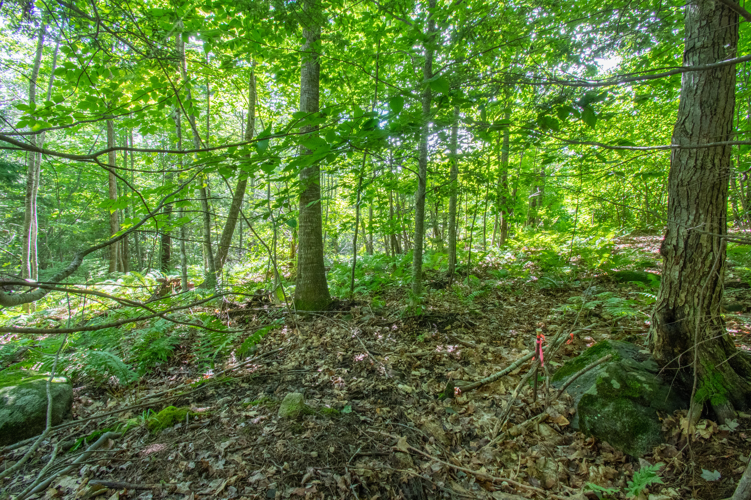 0 Vista Road Raymond, ME 04071 - Photo 11 of 31 0VistaRd.Raymond-12