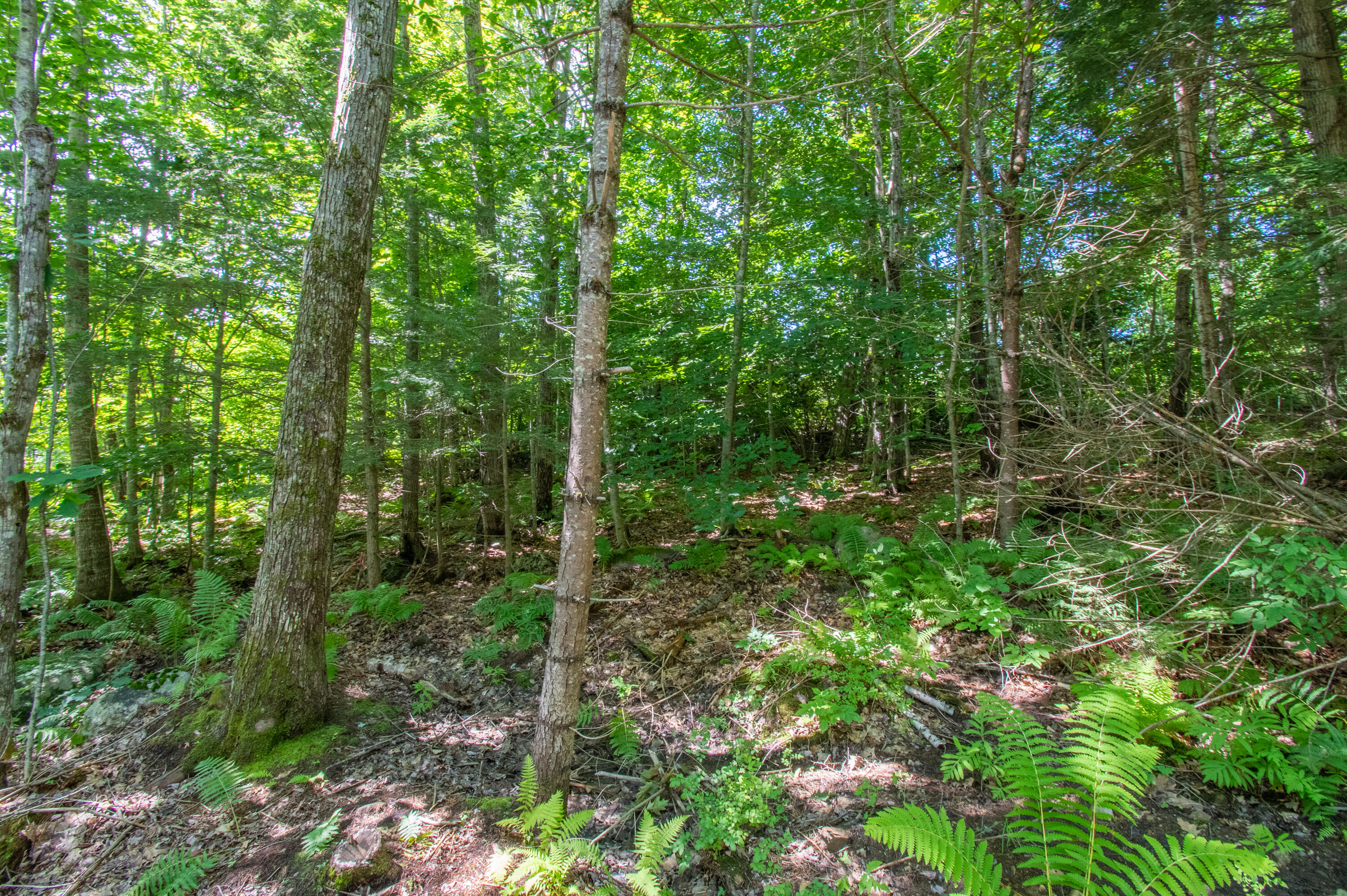 0 Vista Road Raymond, ME 04071 - Photo 12 of 31 0VistaRd.Raymond-11