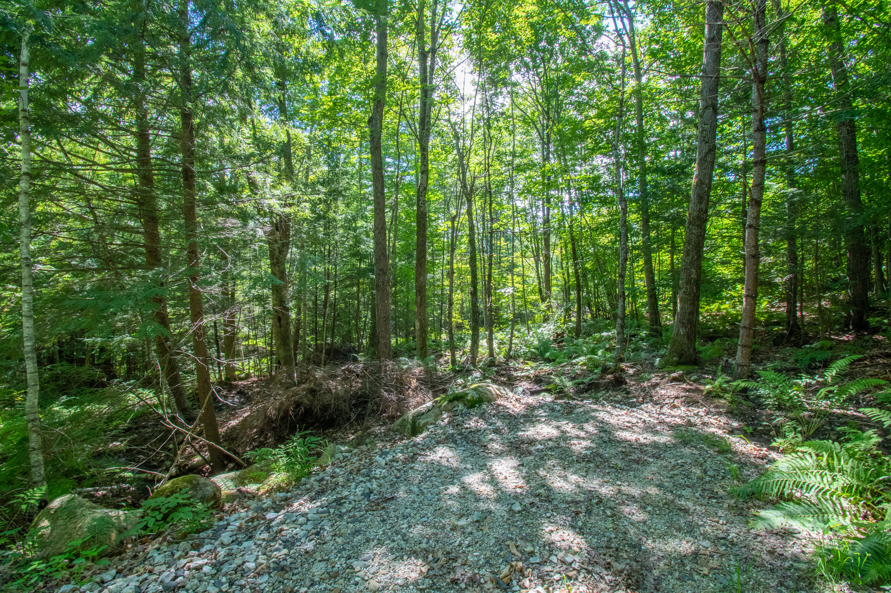 0 Vista Road Raymond, ME 04071 - Photo 15 of 31 0VistaRd.Raymond-15