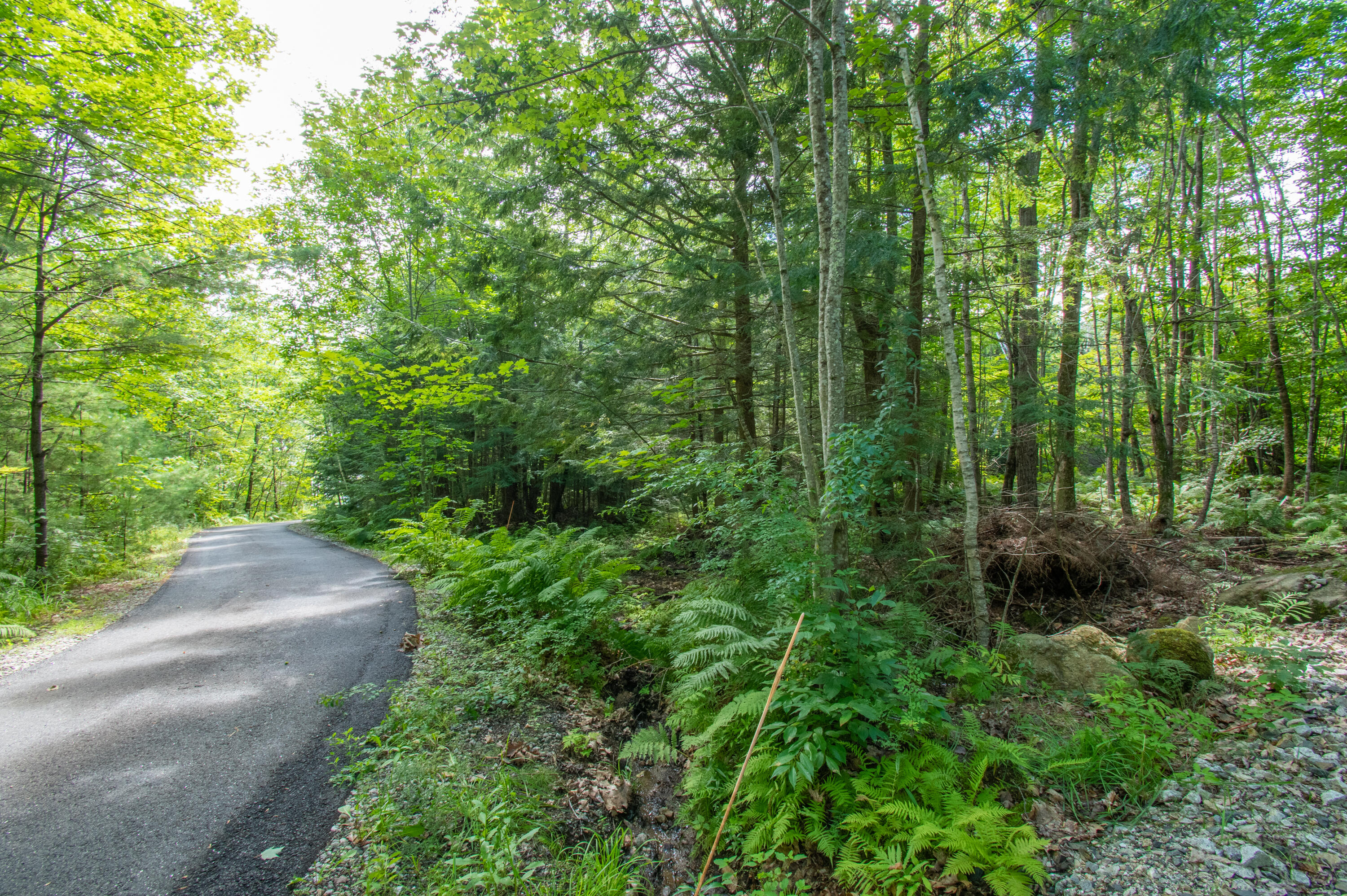 0 Vista Road Raymond, ME 04071 - Photo 4 of 31 0VistaRd.Raymond-01