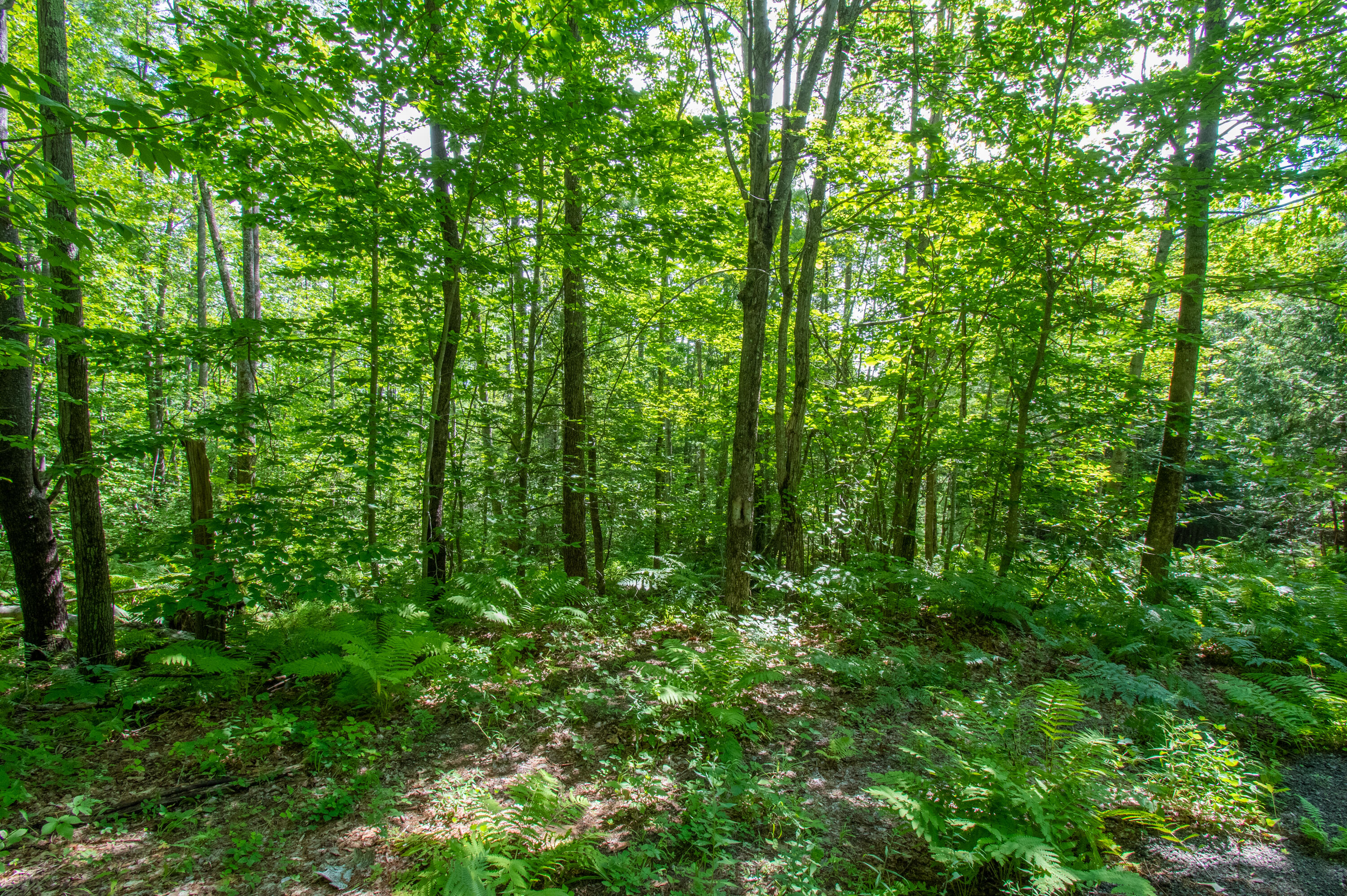 0 Vista Road Raymond, ME 04071 - Photo 6 of 31 0VistaRd.Raymond-05