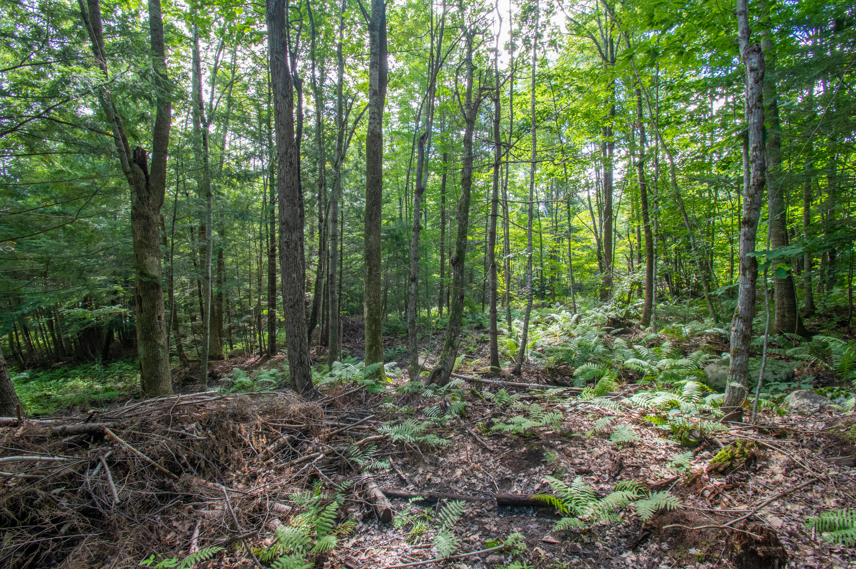 0 Vista Road Raymond, ME 04071 - Photo 7 of 31 0VistaRd.Raymond-02