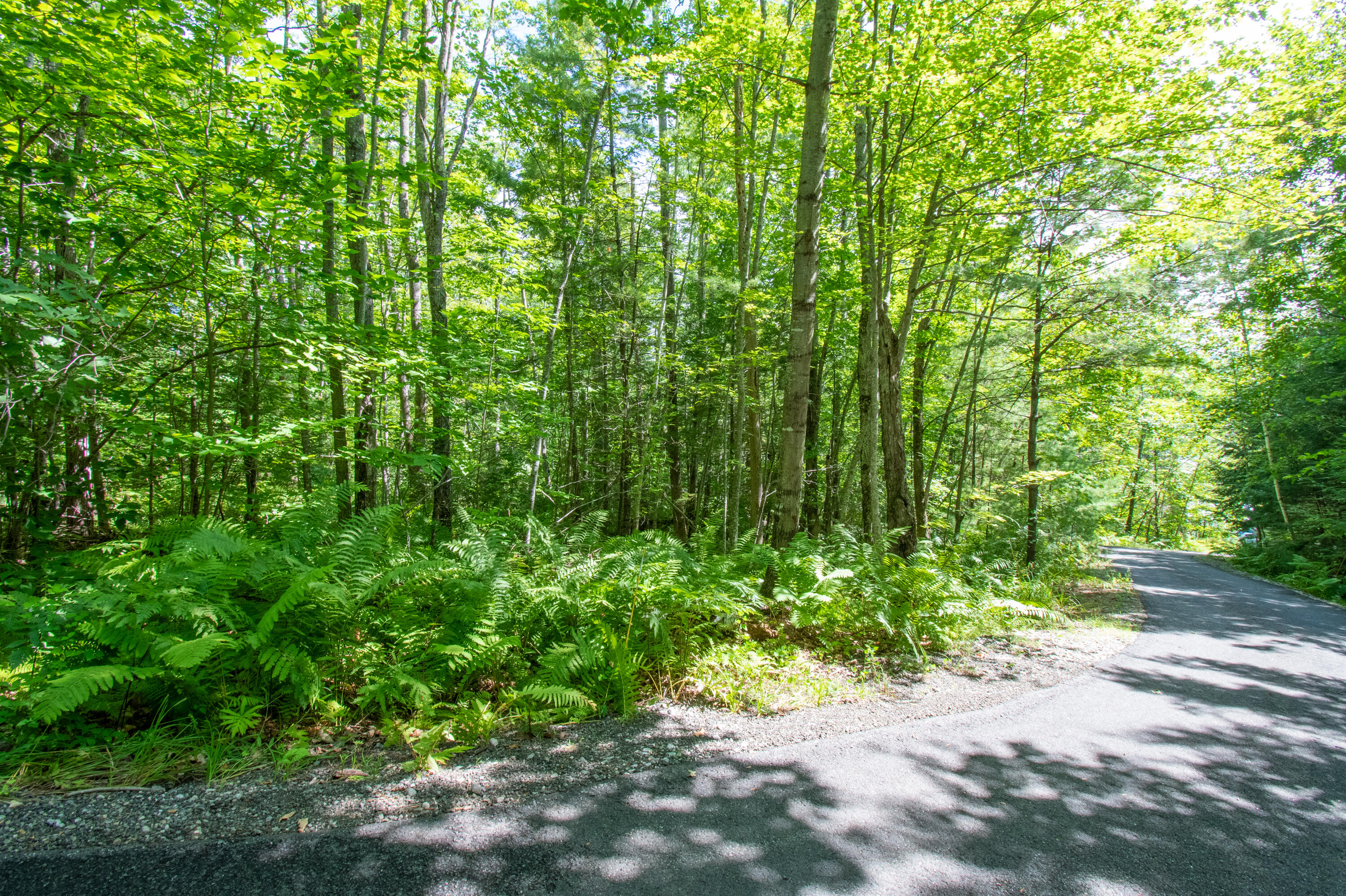 0 Vista Road Raymond, ME 04071 - Photo 8 of 31 0VistaRd.Raymond-06