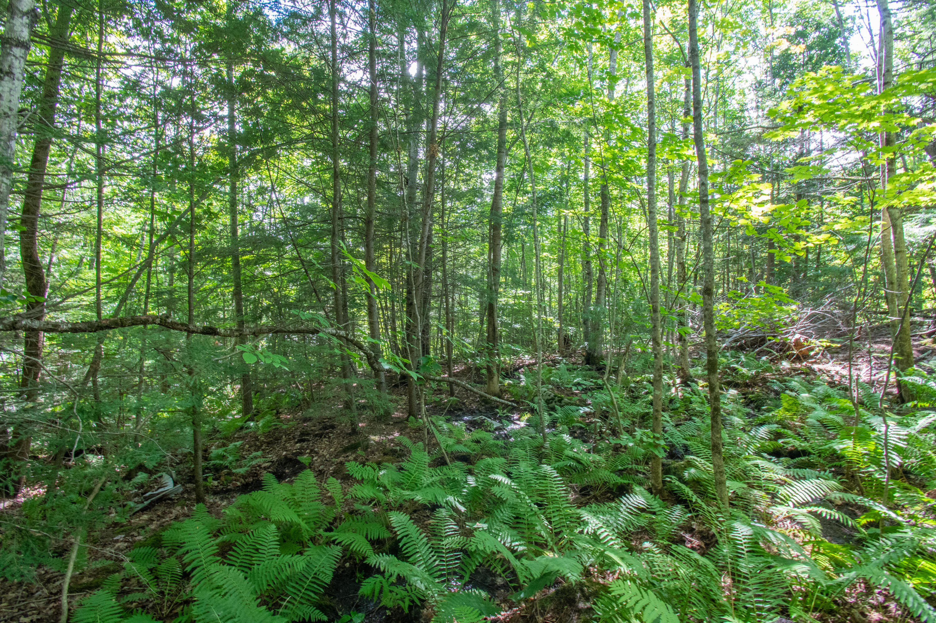 0 Vista Road Raymond, ME 04071 - Photo 9 of 31 0VistaRd.Raymond-08