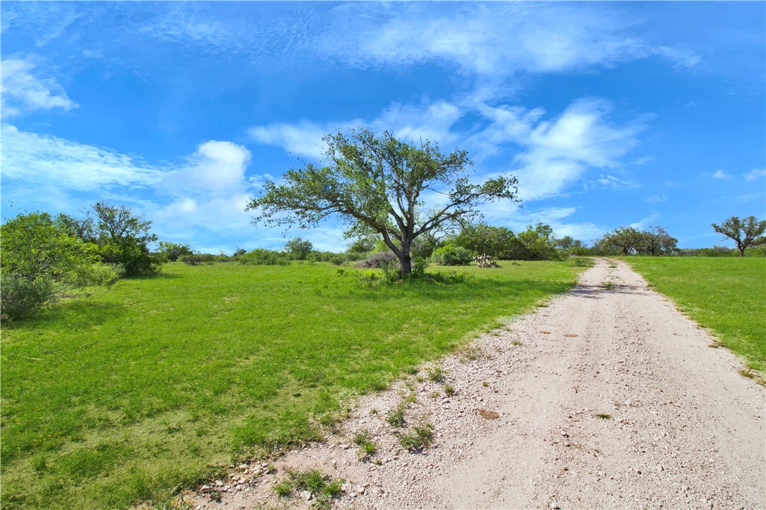 4552 Mineral Cemetery Road Beeville, TX 78102 - Photo 20 of 31