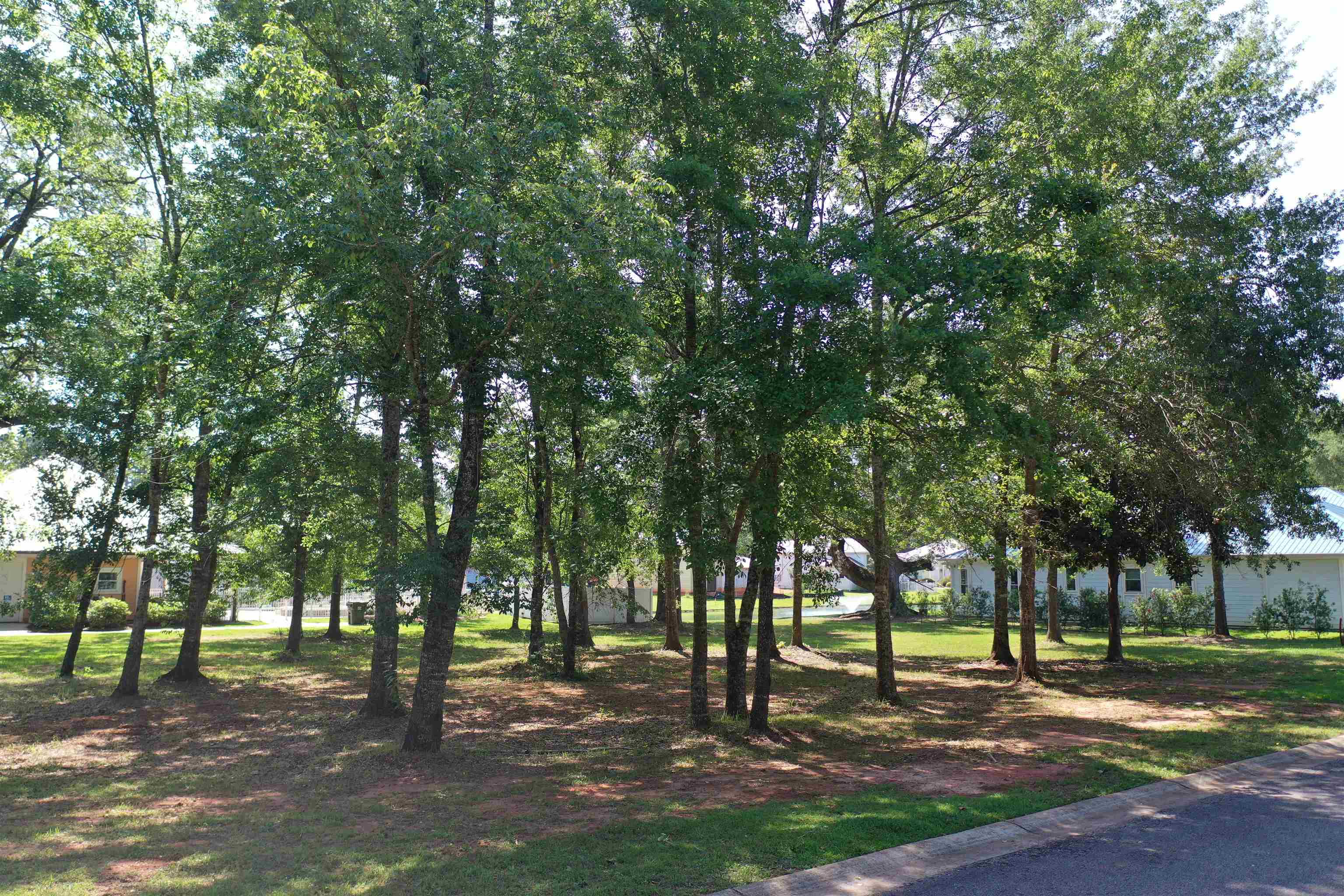 Lot 45 Reunion Place Foley, AL 36535 - Photo 8 of 14