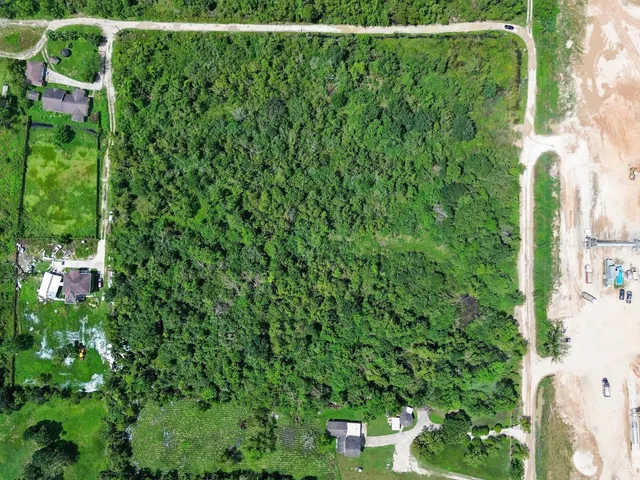 a view of a yard with a tree