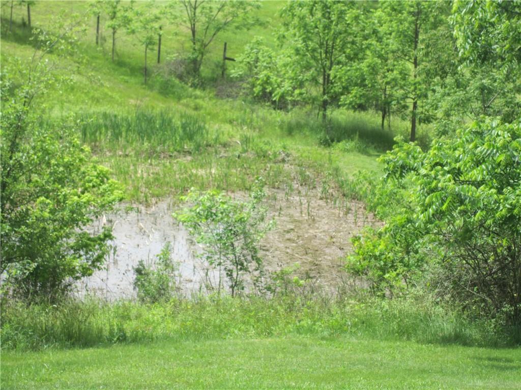 141 Woodies Road Waynesburg, PA 15370 - Photo 11 of 33 pond 2