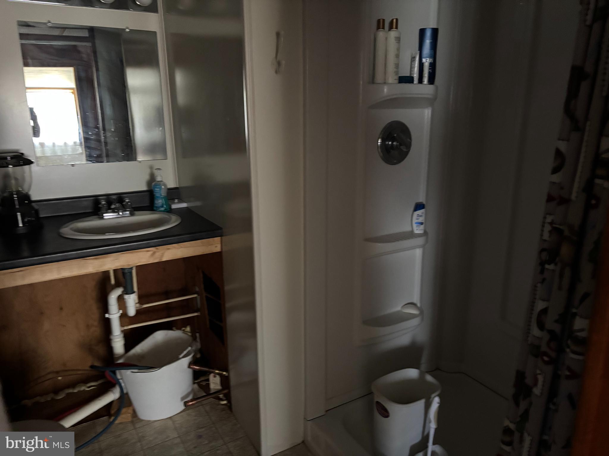 1066 Eddy Ridge Road Orviston, PA 16864 - Photo 31 of 44 a bathroom with a sink and a mirror