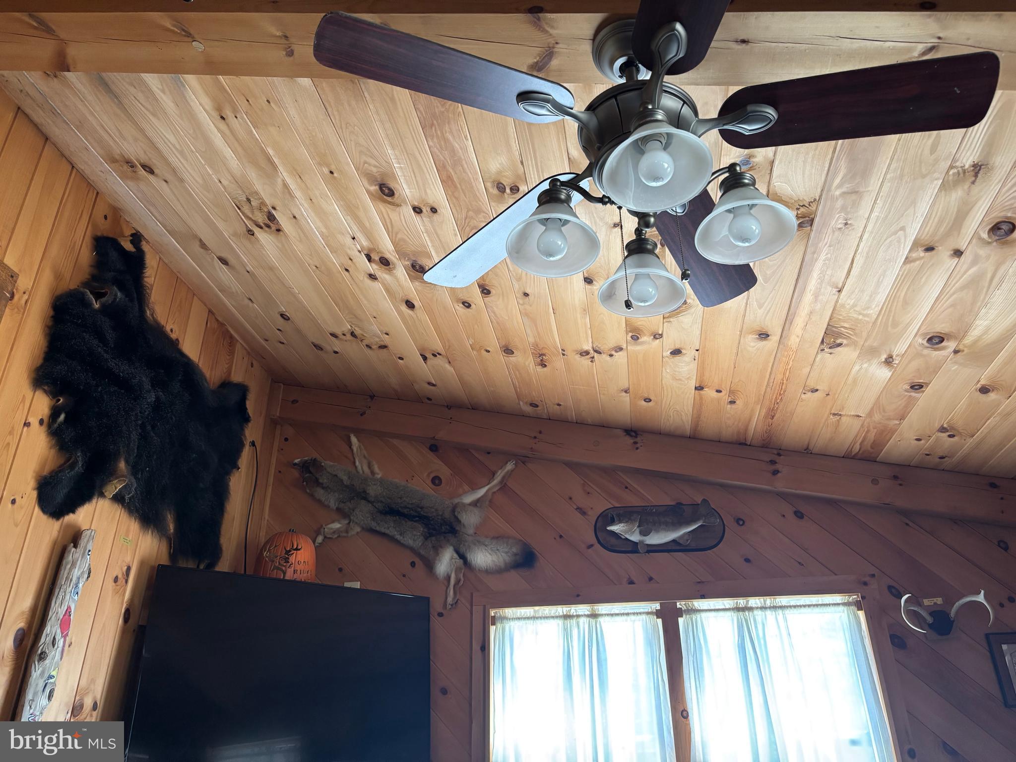 1066 Eddy Ridge Road Orviston, PA 16864 - Photo 34 of 44 a close view of shoes