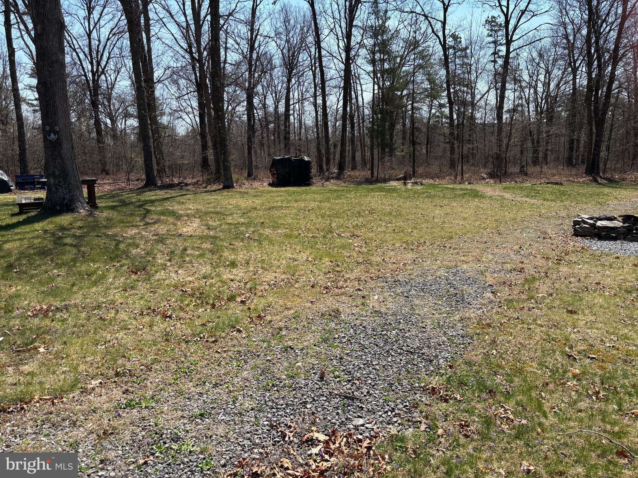 1066 Eddy Ridge Road Orviston, PA 16864 - Photo 40 of 44 a view of yard with trees