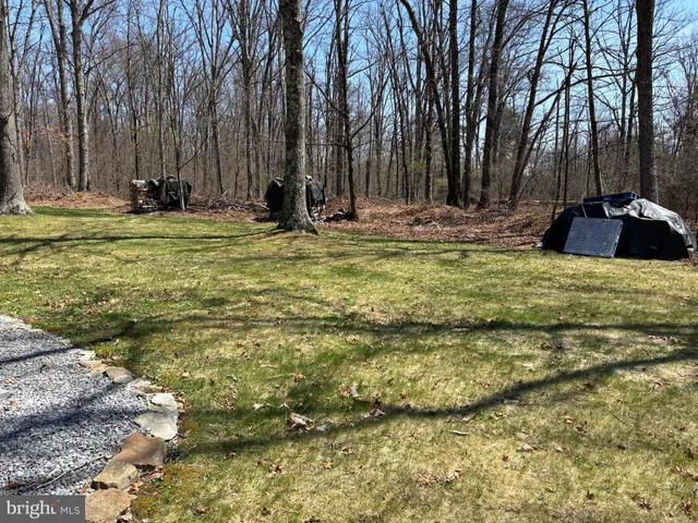 a view of outdoor space with trees