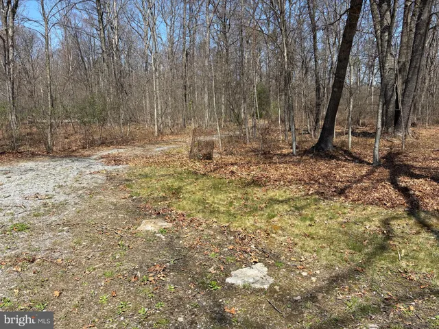 a view of a house with backyard and trees