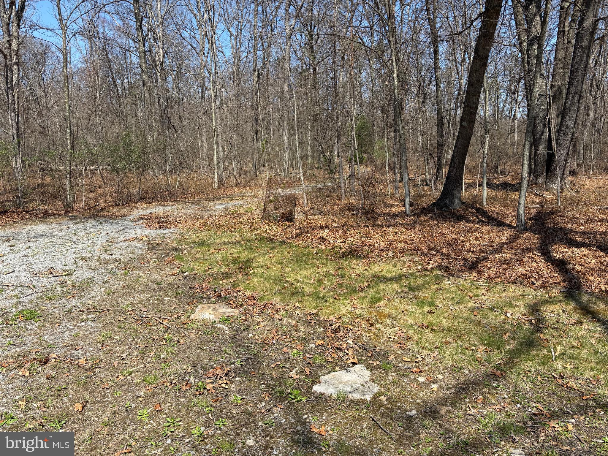 1066 Eddy Ridge Road Orviston, PA 16864 - Photo 42 of 44 a view of outdoor space with trees