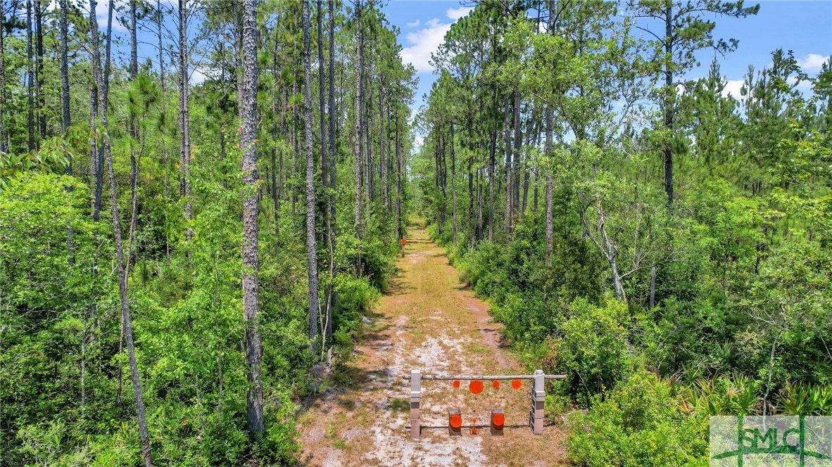 2514 Courthouse Rd Extension Guyton, GA 31312 - Photo 43 of 50