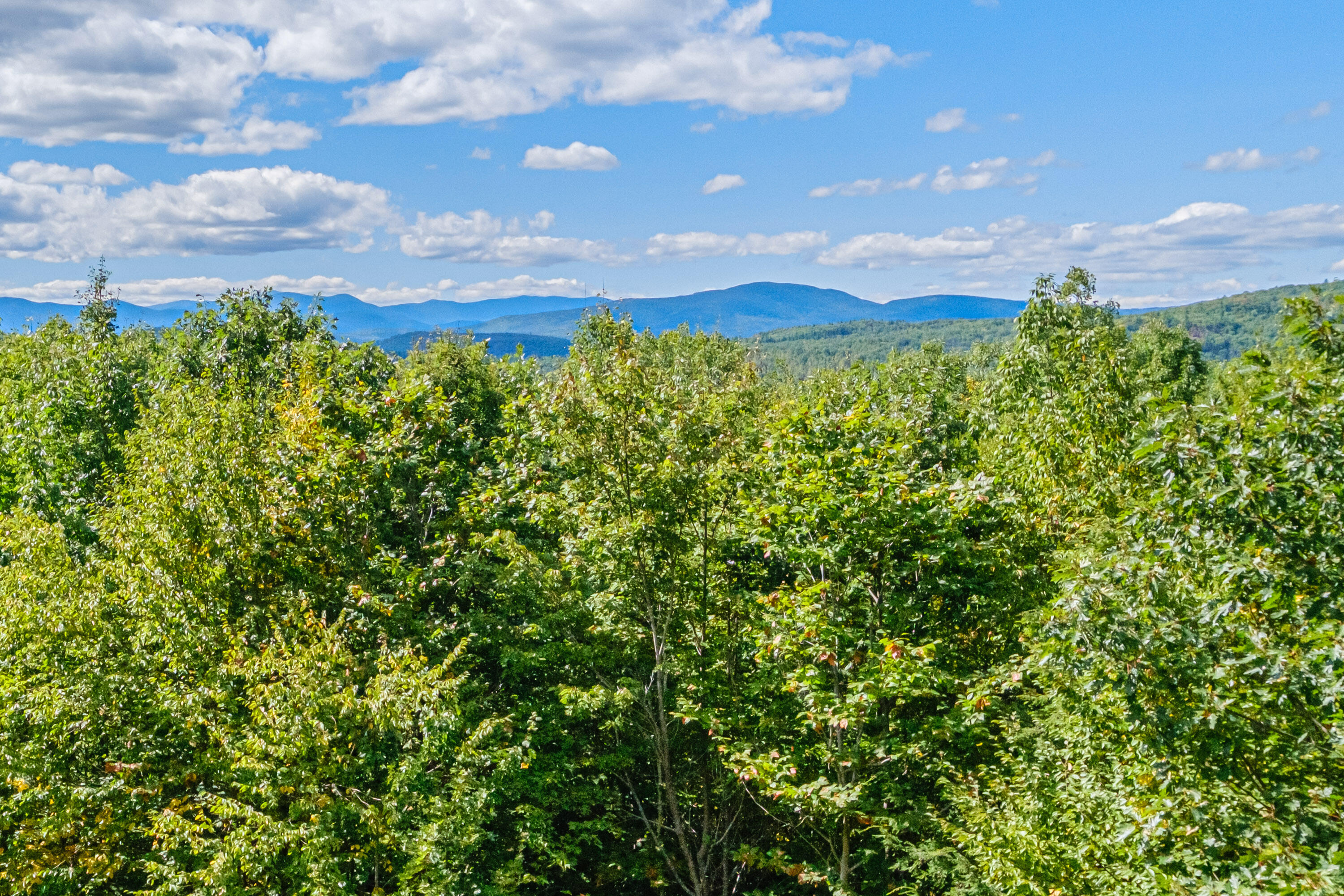 328 French Hill Road Bethel, ME 04217 - Photo 37 of 45 20250908gp-61091-2