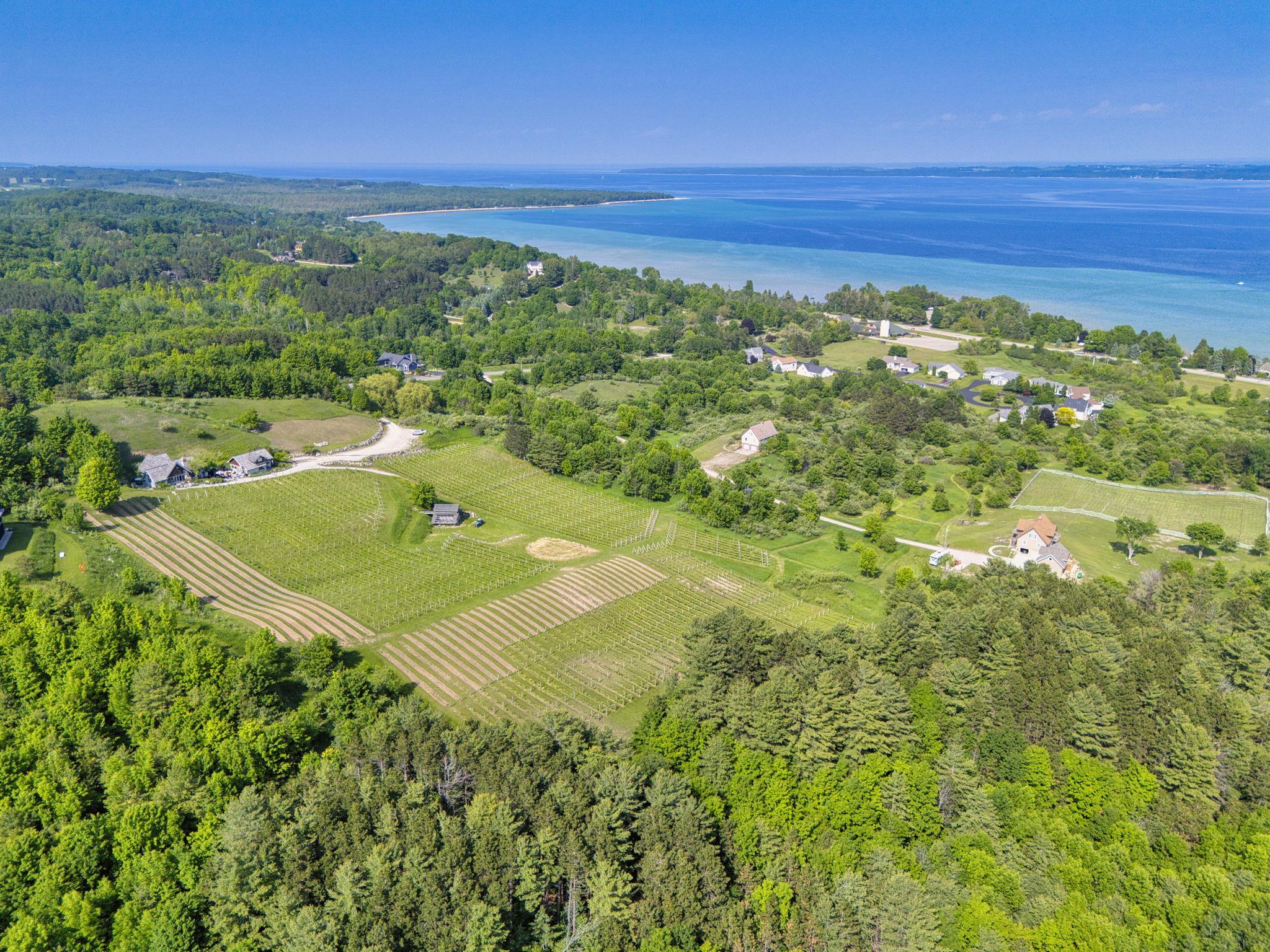 10702 East Hilltop Road Suttons Bay, MI 49682 - Photo 70 of 92