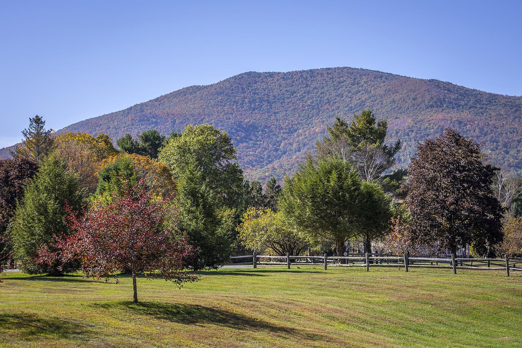 2677 Rte 30 Road Dorset, VT 05251 - Photo 2 of 40