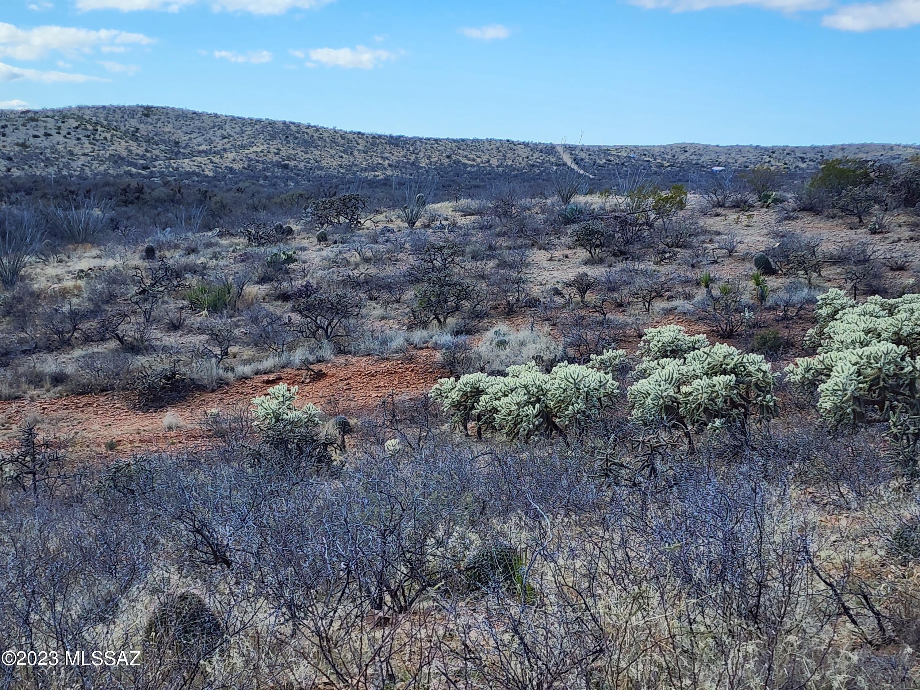 13791 South Bell Road Benson, AZ 85602 - Photo 22 of 39 Gallery Image 22