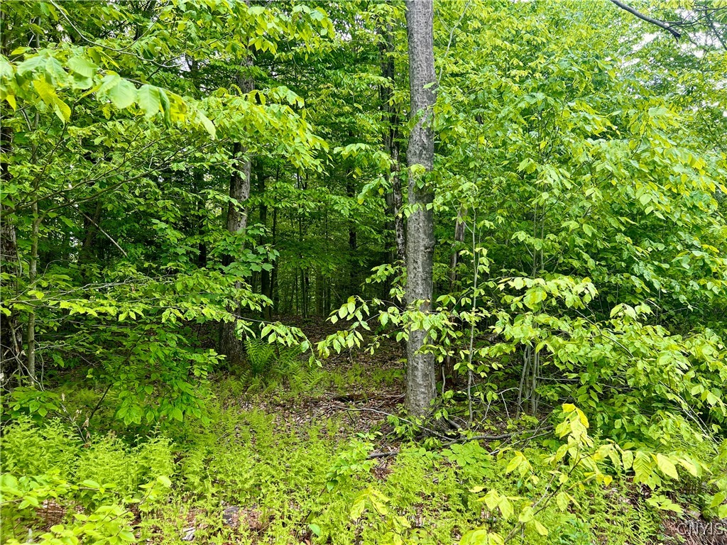 North Hillsborough Road Camden, NY 13316 - Photo 2 of 8