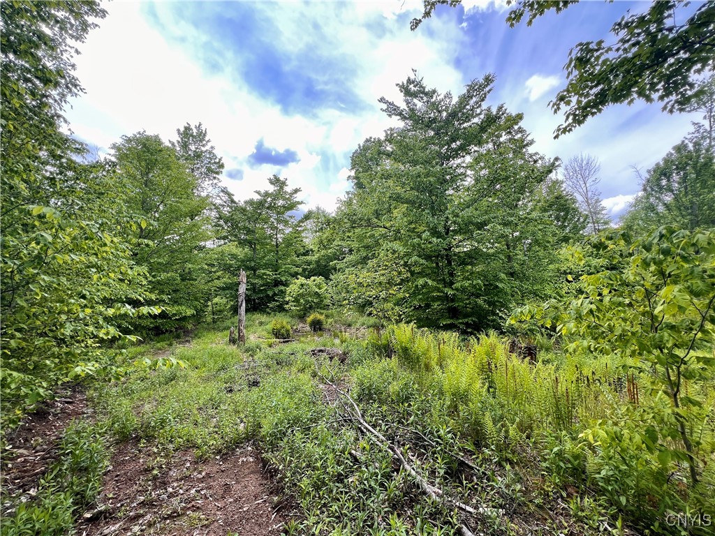 North Hillsborough Road Camden, NY 13316 - Photo 3 of 8