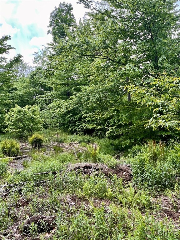 North Hillsborough Road Camden, NY 13316 - Photo 4 of 8