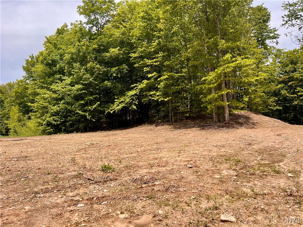 North Hillsborough Road Camden, NY 13316 - Photo 6 of 8