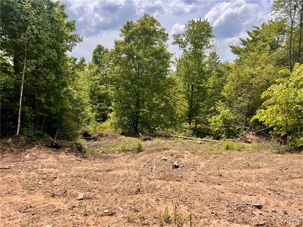 North Hillsborough Road Camden, NY 13316 - Photo 7 of 8