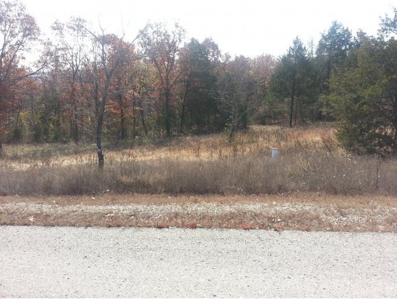 Lot 214 Forest Lake 5th Branson Reeds Spring, MO 65737 - Photo 1 of 1 Primary Photo