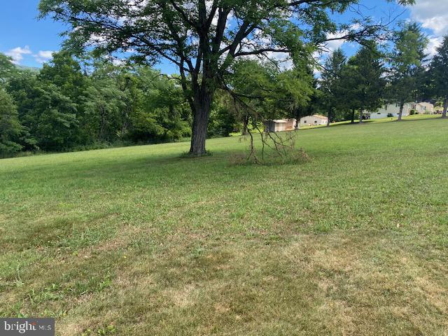 91 Vanormer Road McAlisterville, PA 17049 - Photo 24 of 25 Rear yard 4