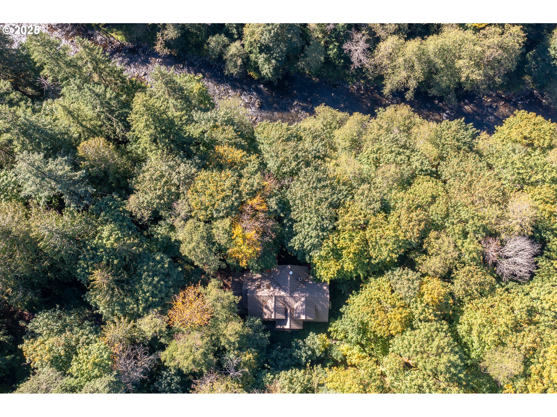 29409 East Edgewater Drive Welches, OR 97067 - Photo 2 of 48 a view of a yard