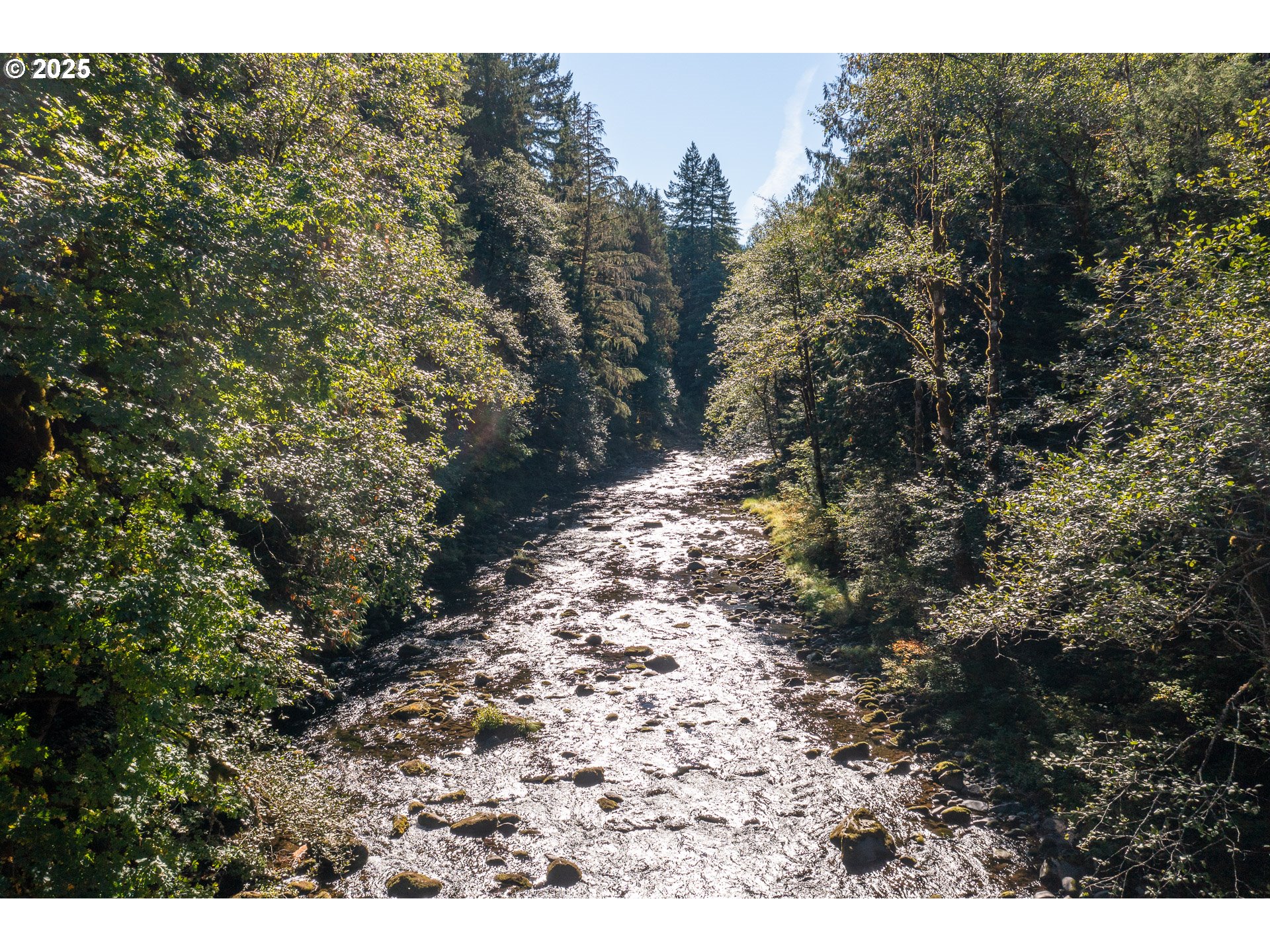 29409 East Edgewater Drive Welches, OR 97067 - Photo 44 of 48 a view of a yard with a tree