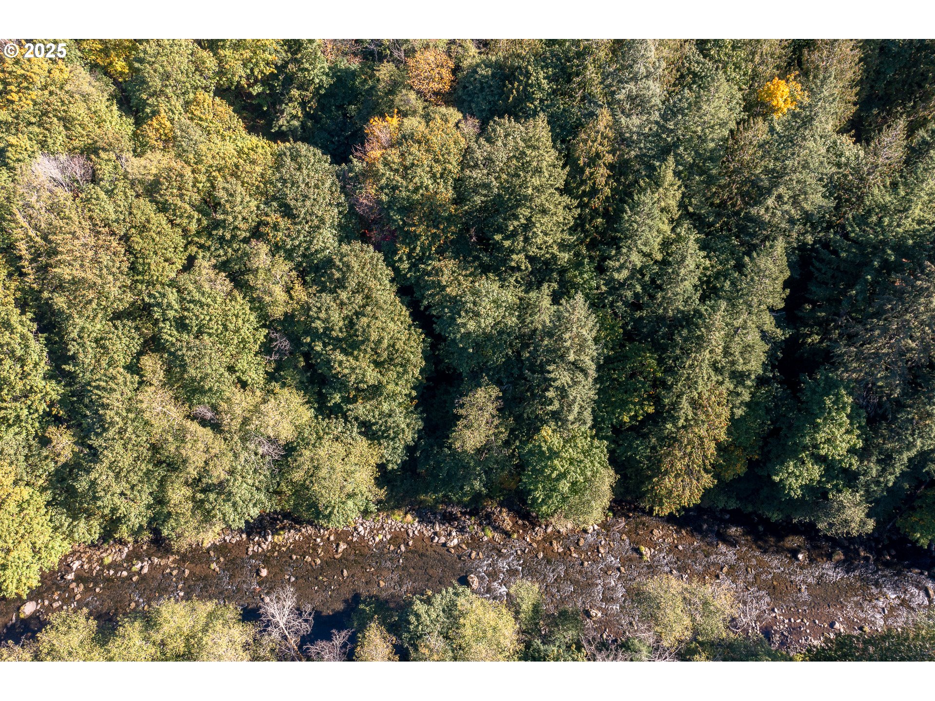 29409 East Edgewater Drive Welches, OR 97067 - Photo 45 of 48 a view of a dry yard