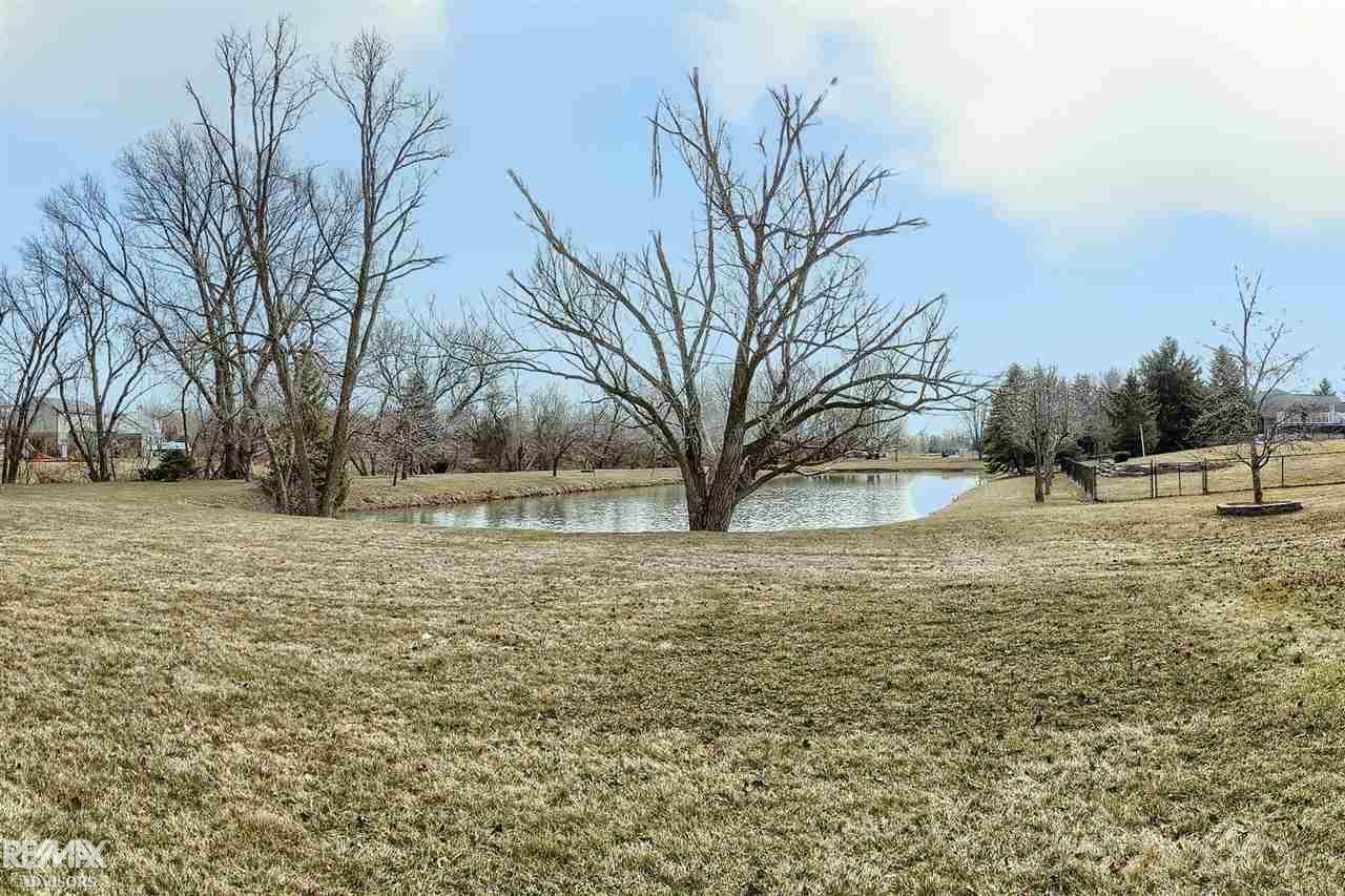 54200 Romeo Plank Road Macomb, MI 48042 - Photo 37 of 38