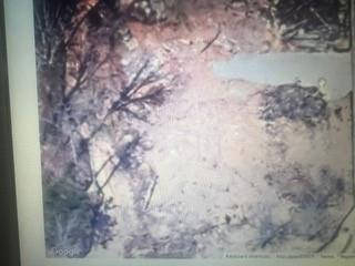 1935 Alcovy Trails Drive Southeast Dacula, GA 30019 - Photo 3 of 7