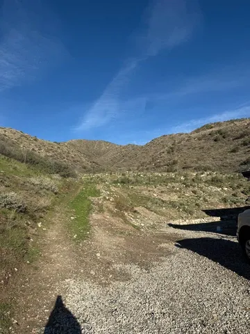 a view of a yard with an outdoor space