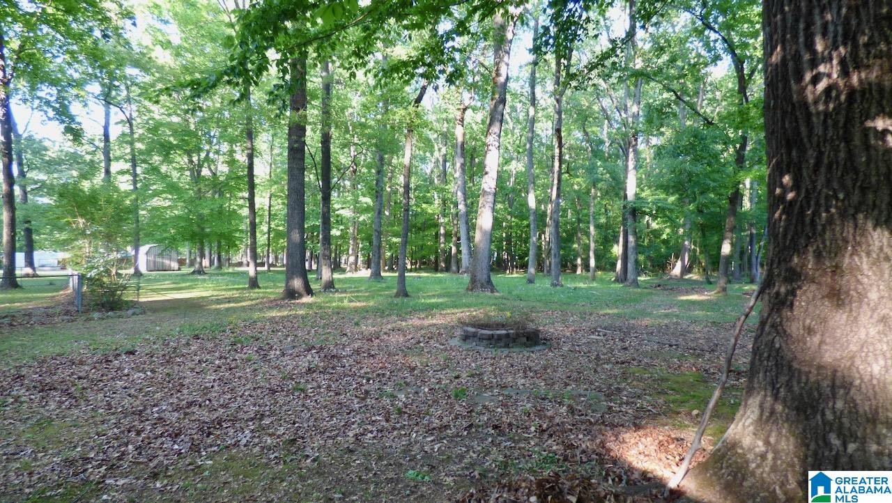 546 West Limestone Road Hazel Green, AL 35750 - Photo 9 of 38