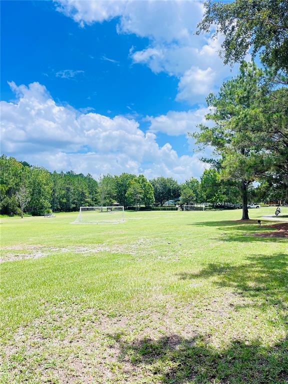 3485 Middlebrook Place Harmony, FL 34773 - Photo 42 of 44