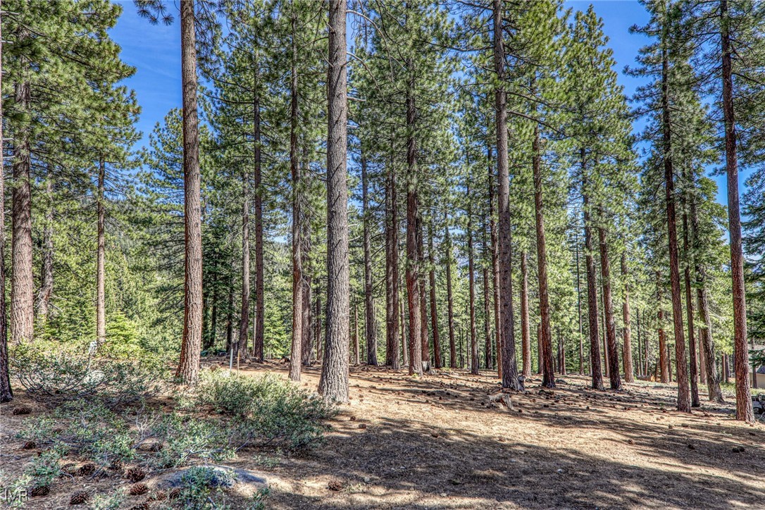 967 Jennifer Street Incline Village, NV 89451 - Photo 39 of 40