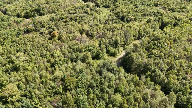 $225,000 | Lot 7 Blair Hill Road, Greenville, ME 04441