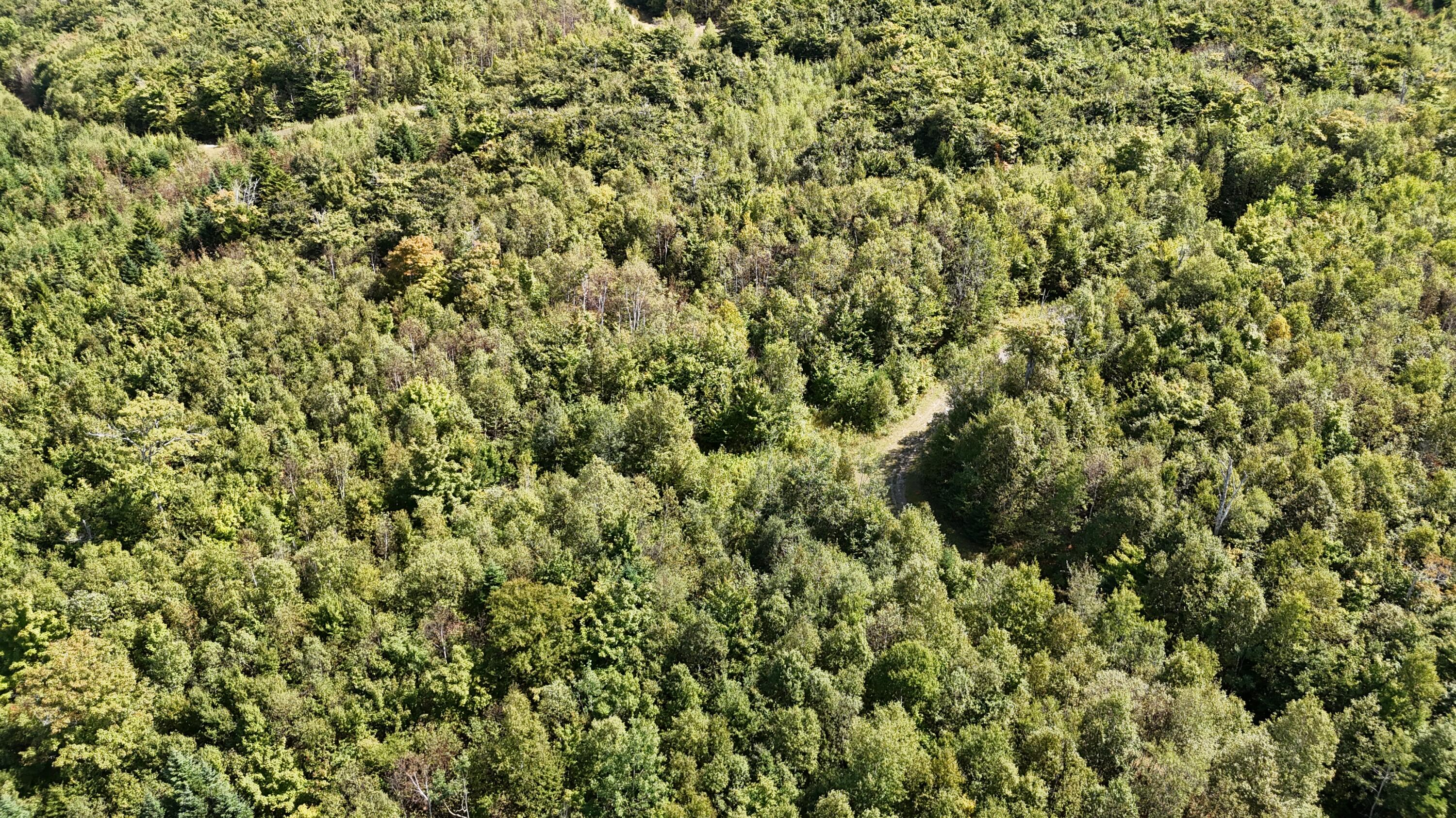 Lot 7 Blair Hill Road Greenville, ME 04441 - Photo 6 of 8 DJI_20250901120436_0183_D