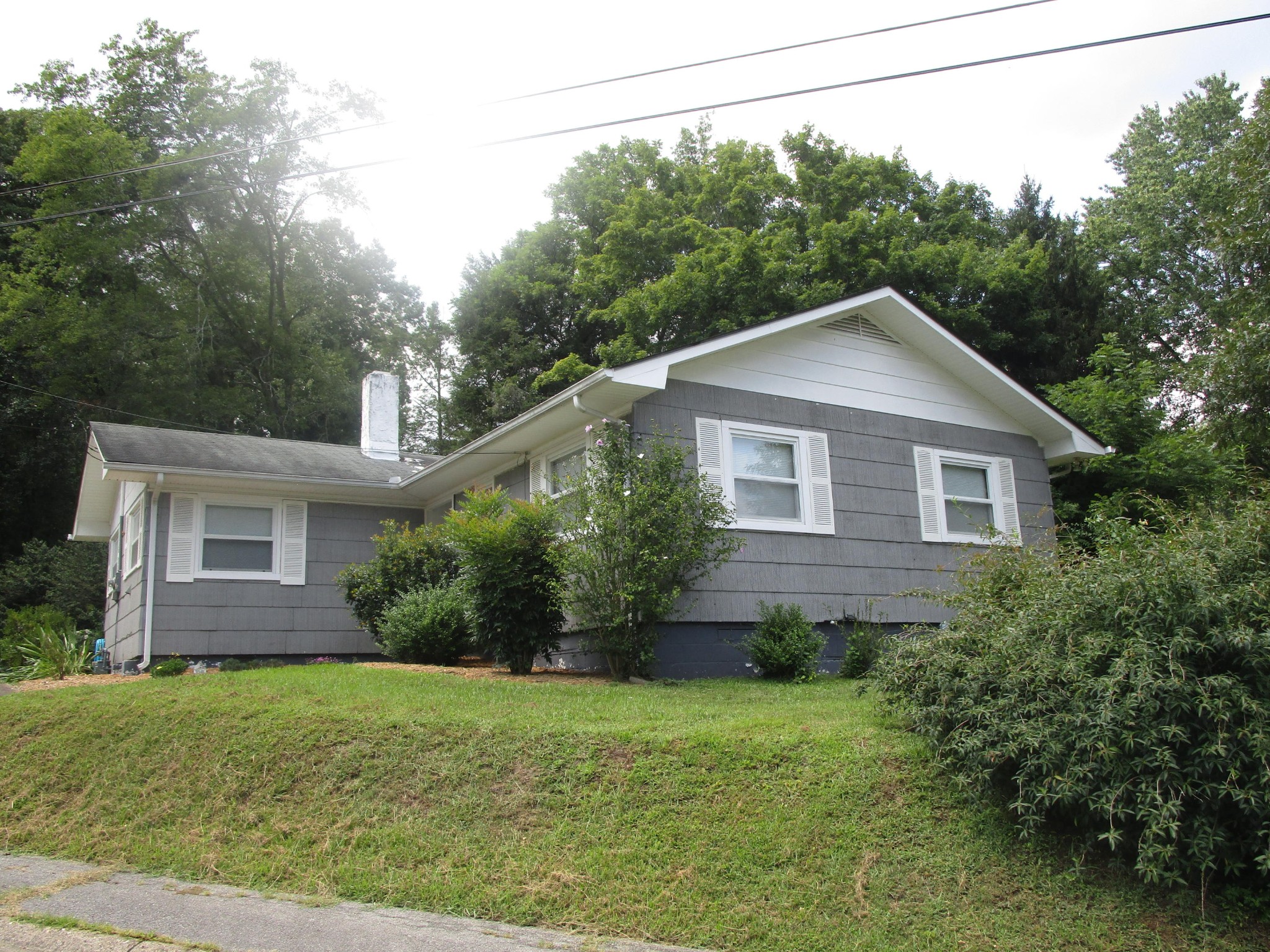 102 Darwin Lane Oak Ridge, TN 37830 - Photo 19 of 19 a view of a house with a yard plants and large tree