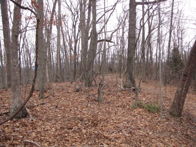 Mt Pleasant Road Shawsville, VA 24162 - Photo 3 of 9 Gallery Image 3