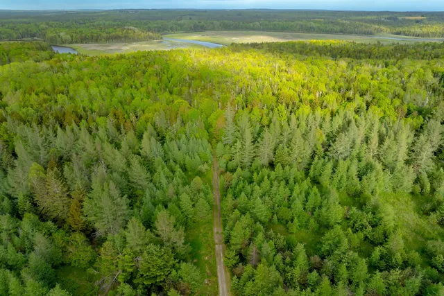 $350,000 | 126 Point Street, Columbia Falls, ME 04623